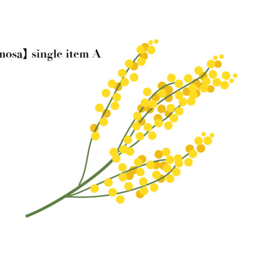 イラスト素材 ミモザ単品 葉っぱなし 透過画像 高解像度 360ppi Horimari Net