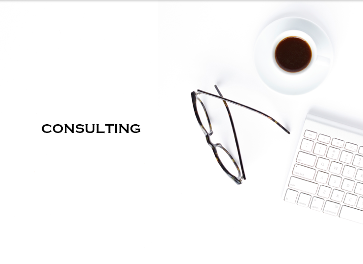 consulting001-01