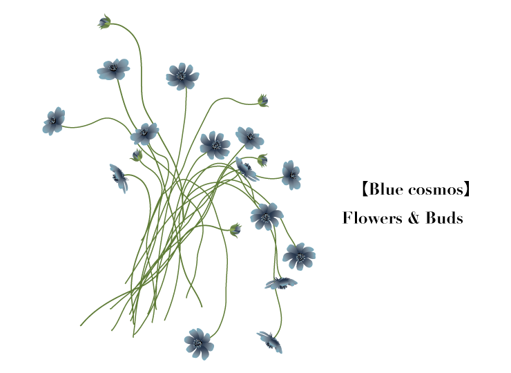 イラスト素材 青いコスモス デザインされた花と蕾の束 19本 B 透過画像 高解像度 360ppi Horimari Net